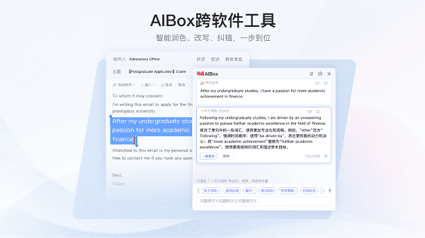 如何在有道翻译词典中查看唱片版本的英文标识?