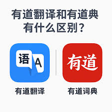 如何在有道翻译词典中查看唱片版本的英文标识?