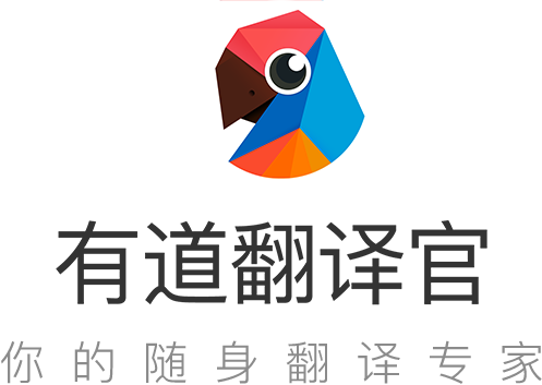 如何在有道翻译词典中查看神学术语的当地语言翻译？