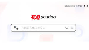 2026年有道翻译词典支持翻译客户证词的英文录音吗？