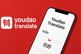 2026年有道翻译词典支持翻译车辆年检的英文报告吗？