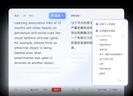 2026年有道翻译词典的“智能纠错”能检查注释语法吗？