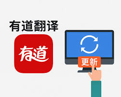 如何在有道翻译词典中查看单词的过去分词变化？